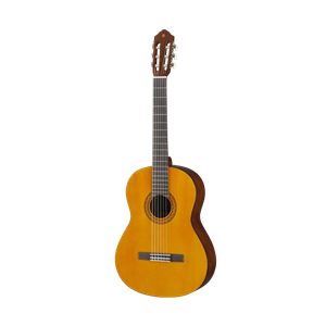 Acoustic Guitars