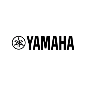 Acoustic Guitars