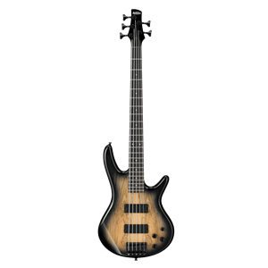 Ibanez GSR205SM - Natural Gray Burst