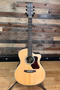 Walden Natura G800CE Grand Auditorium, Sika Spruce top & Rosewood back and sides, w/ Fishman Presys II pickup & Gig Bag