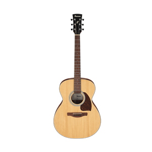 Ibanez PC50 Dreadnought Open Pore Natural