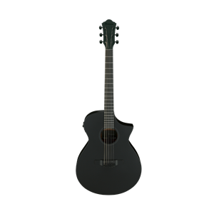 Ibanez AEWC621 Black Out Acoustic/Electric