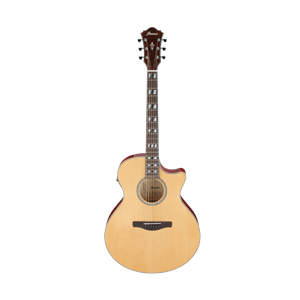 Ibanez AE170 Acousitc/Electric