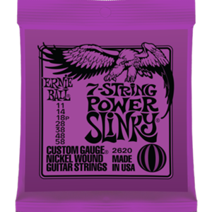 Ernie Ball 7 String Guitar Strg